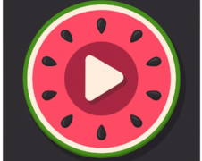 X Girl Strip (XGSP.TV)